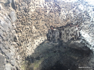 fiteatro romano Catania25-11-2012 09-31-04